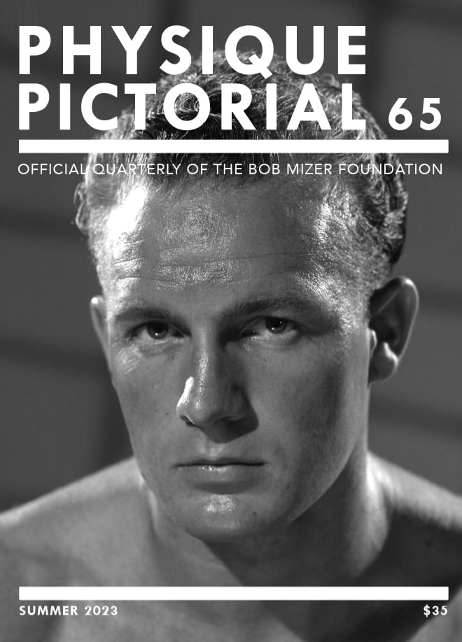 ppv65_cover-1