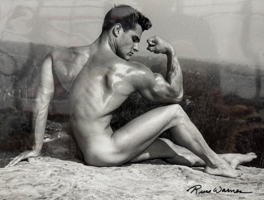 RUSS WARNER: Muscle on Trial